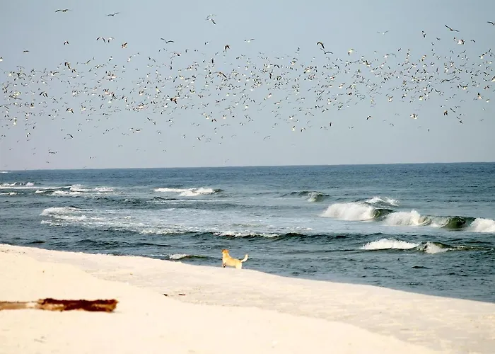 Apartment Beach'n'sea 4 Grömitz